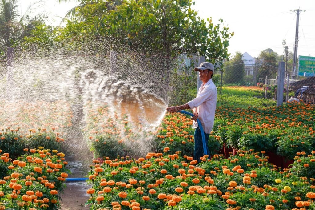 Watering plants