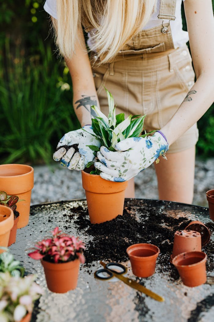 Woman Putting Plants in Pots