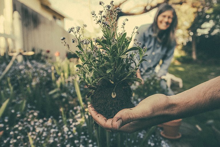 Why Gardening Is A Good Form Of Meditation