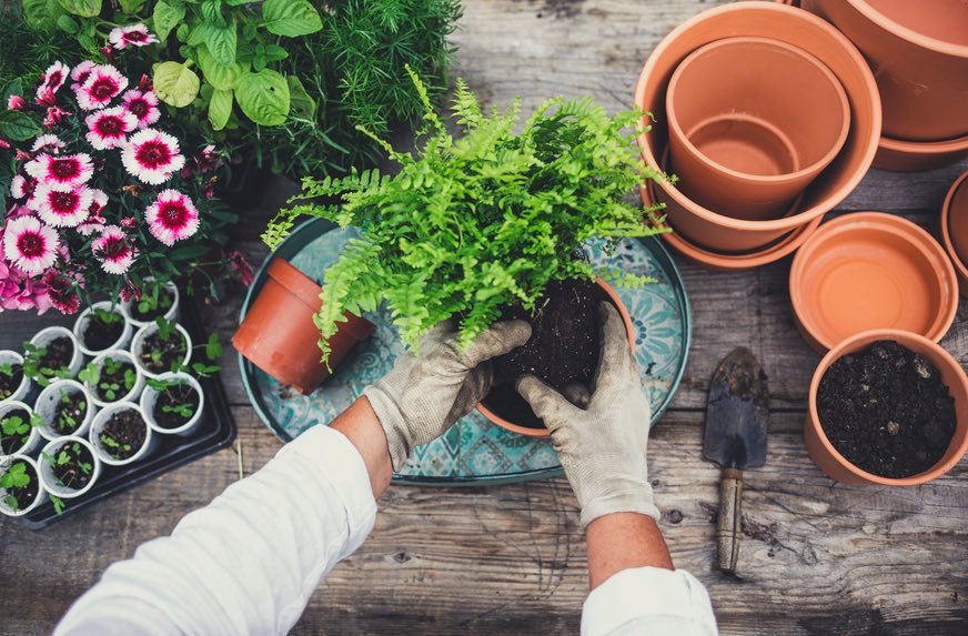 Why Gardening Is A Good Form Of Meditation