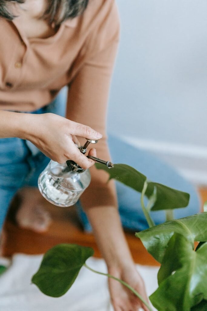 cultivate calm: 7 daily plant routines to revolutionize your mental health