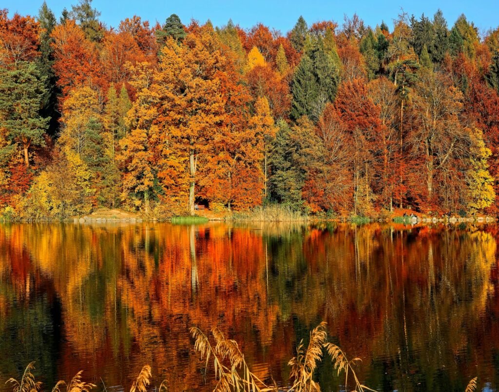 Power of Fall Garden Cleanup