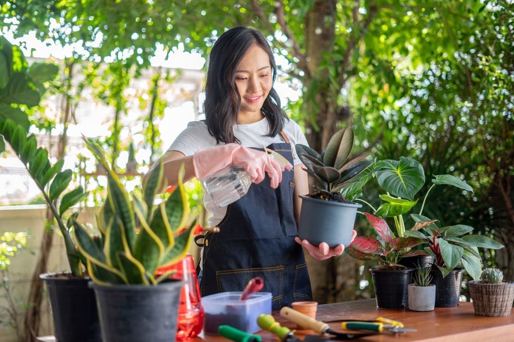 Embracing Calm: Gardening for Panic Disorder in Safe Outdoor Spaces