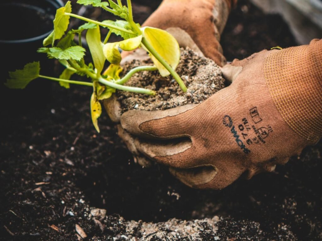 Embracing Calm: Gardening for Panic Disorder in Safe Outdoor Spaces