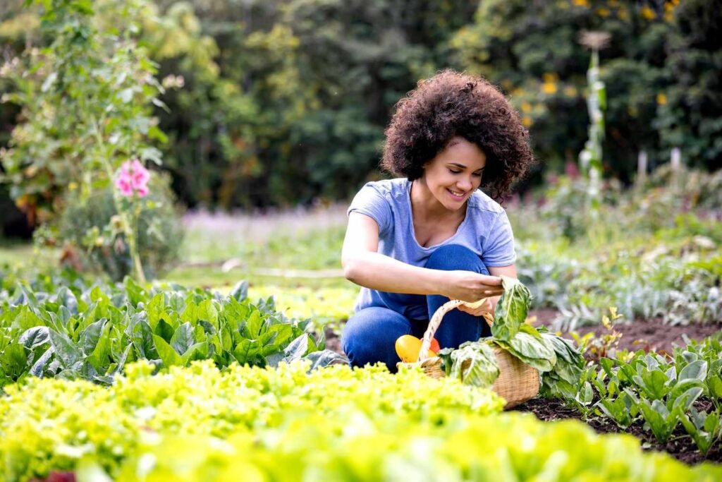 gardening for better sleep embracing restfulness through natures greens