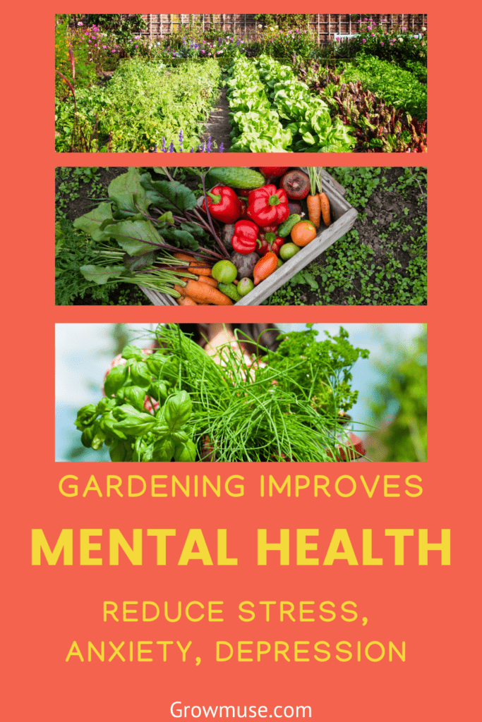 overcoming gardening anxiety tips for beginners