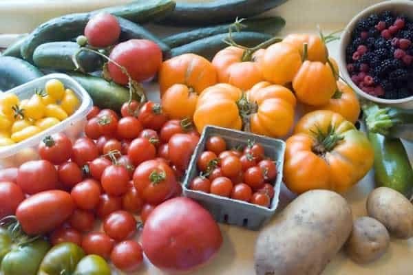 the ultimate guide to growing your own tomatoes by anne tyler 1