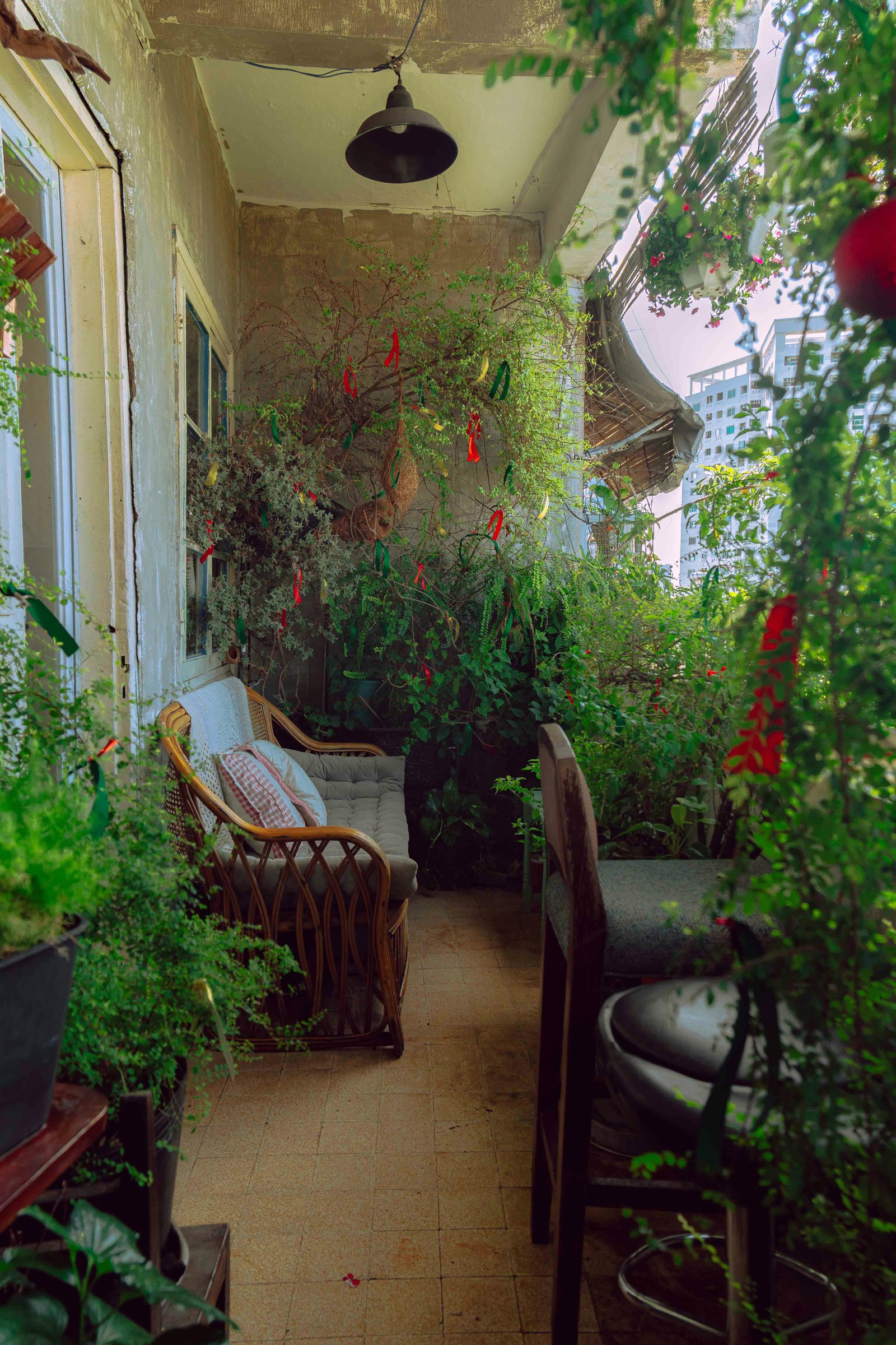 balcony gardening for stress relief