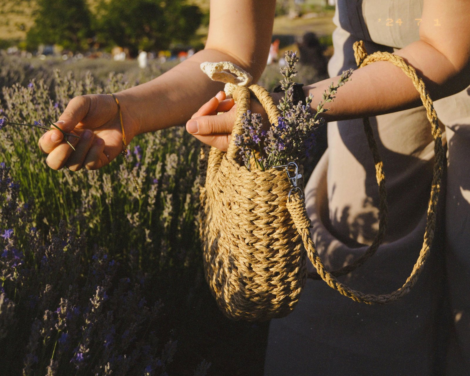 benefits of therapeutic gardening