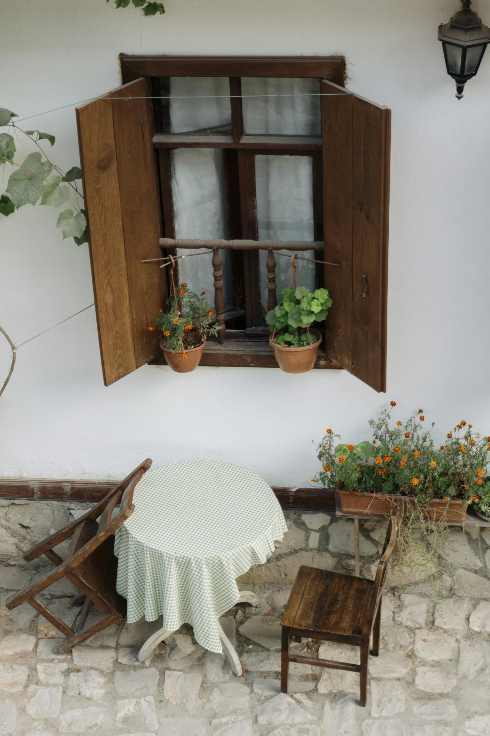 Patio Plants