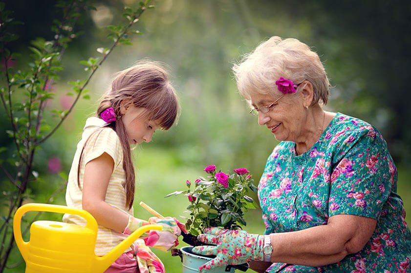 Benefits for Elderly Gardeners