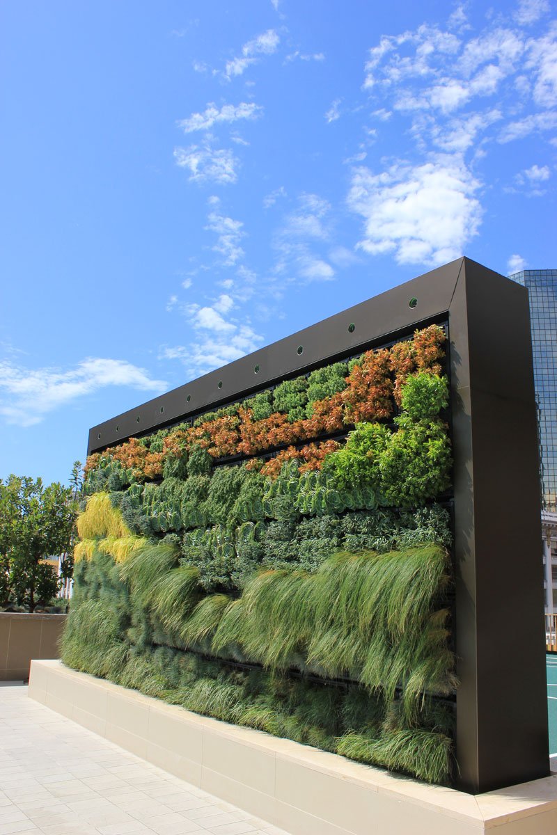 Vertical garden living wall installation